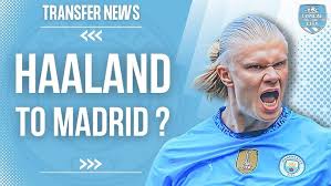 网球迷们纷 网球迷们纷